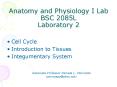Anatomy and Physiology I Lab BSC 2085L Laboratory 2 PowerPoint PPT Presentation