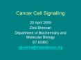 Cancer Cell Signalling PowerPoint PPT Presentation