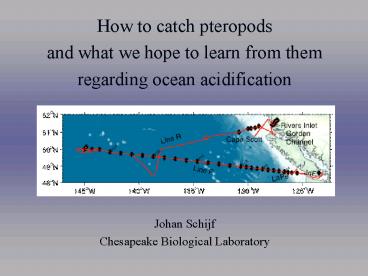 How to catch pteropods