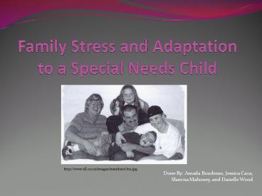 Family Stress and Adaptation to a Special Needs Child
