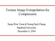 Texture Image Extrapolation for Compression