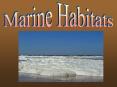 Marine Habitats PowerPoint PPT Presentation