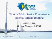 Florida Public Service Commission Internal Affairs Briefing