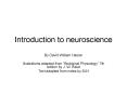 Introduction to neuroscience PowerPoint PPT Presentation