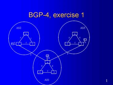 BGP4, exercise 1