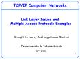 TCPIP Computer Networks Link Layer Issues and Multiple Access Protocols Examples PowerPoint PPT Presentation