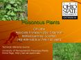 Poisonous Plants PowerPoint PPT Presentation
