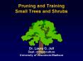 Pruning and Training Small Trees and Shrubs Dr' Laura G' Jull Dept' of Horticulture University of Wi PowerPoint PPT Presentation