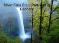Silver Falls State Park and its Habitats! PowerPoint PPT Presentation