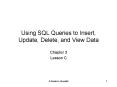 Using SQL Queries to Insert, Update, Delete, and View Data PowerPoint PPT Presentation