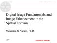 Digital Image Fundamentals and Image Enhancement in the Spatial Domain PowerPoint PPT Presentation