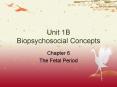Unit 1B Biopsychosocial Concepts PowerPoint PPT Presentation