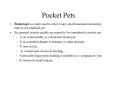 Pocket Pets PowerPoint PPT Presentation