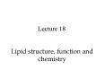 Lipid structure, function and chemistry PowerPoint PPT Presentation