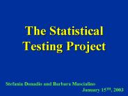 The Statistical Testing Project