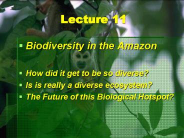 Biodiversity in the Amazon