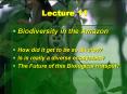 Biodiversity in the Amazon PowerPoint PPT Presentation