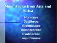 Minor Fruits from Asia and Africa PowerPoint PPT Presentation