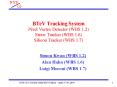BTeV Tracking System Pixel Vertex Detector WBS 1'2 Straw Tracker WBS 1'6 Silicon Tracker WBS 1'7 PowerPoint PPT Presentation