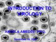 INTRODUCTION TO VIROLOGY PowerPoint PPT Presentation