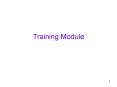 Training Module PowerPoint PPT Presentation
