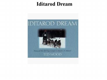 Iditarod Dream