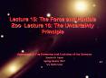 Lecture%2015:%20The%20Force%20and%20Particle%20Zoo%20Lecture%2016:%20The%20Uncertainty%20Principle PowerPoint PPT Presentation