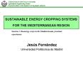 SUSTAINABLE ENERGY CROPPING SYSTEMS FOR THE MEDITERRANEAN REGION PowerPoint PPT Presentation