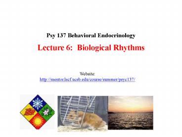 LECTURE 14: Hormones, Biological Clocks,