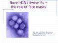 Novel H1N1 Swine flu the role of face masks PowerPoint PPT Presentation