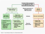 Nucleic Acid Hybridization