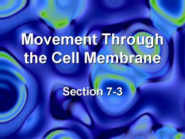 Movement Through the Cell Membrane