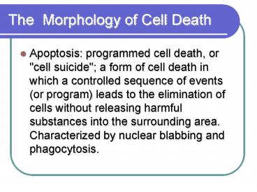 presentation player overlay