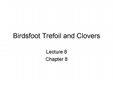 Birdsfoot Trefoil and Clovers