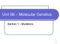 Unit 5B Molecular Genetics PowerPoint PPT Presentation