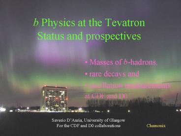 b Physics at the Tevatron Status and prospectives