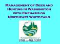 Management of Deer and Hunting in Washington with Emphasis on Northeast Whitetails PowerPoint PPT Presentation