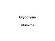 Glycolysis
