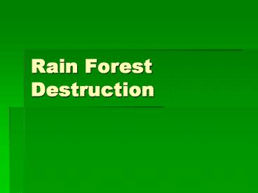 Rain Forest Destruction