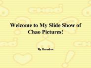 Welcome to My Slide Show of Chao Pictures!