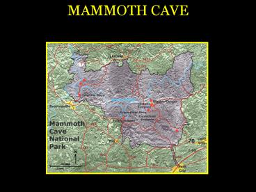 MAMMOTH CAVE