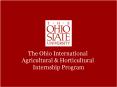The Ohio International PowerPoint PPT Presentation