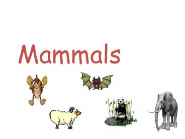 Mammals