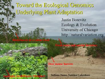 Toward the Ecological Genomics Underlying Plant Adaptation