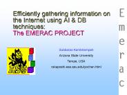 Efficiently gathering information on the Internet using AI