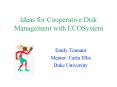 Ideas for Cooperative Disk Management with ECOSystem PowerPoint PPT Presentation
