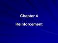 Reinforcement PowerPoint PPT Presentation
