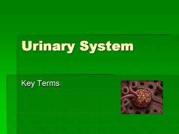 presentation player overlay