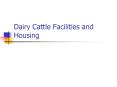 Dairy Cattle Facilities and Housing PowerPoint PPT Presentation