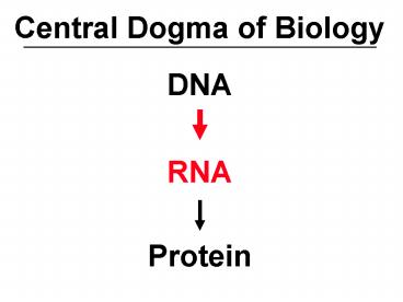 DNA